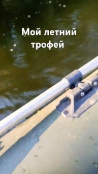 летний трофей на флопер #рыбалка #fishing #щука #carpfishing #тро