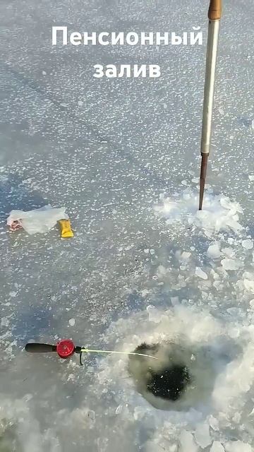 Лёд и рыбалка в Пенсионном заливе в Каменском #карась #