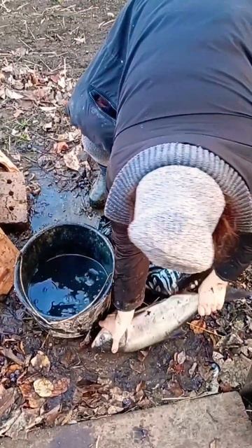 😂 МУЖИК НА ЭМОЦИЯХ! 🐟 #рыбалка #село #юмор #fishing #рыба #?