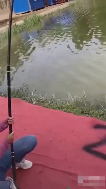 Trend РЫБА 🦈 Ловись, Рыбка, Большая и Маленькая 😂 #shorts #tr
