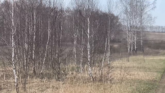 I Охота на Кабана