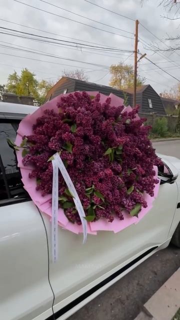 #музыка #flowers #music #цветы #москва #rose #love +79771159645