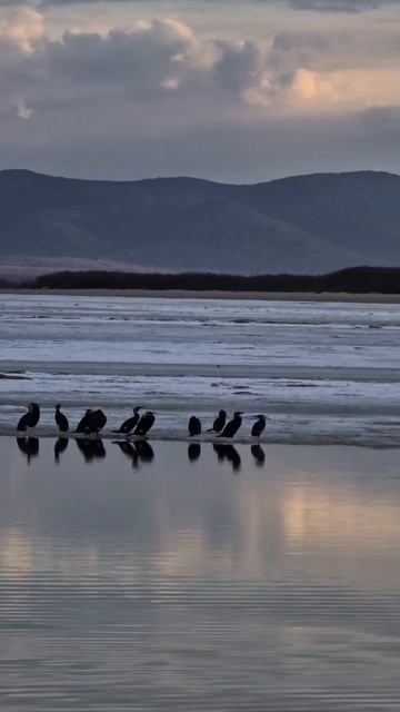 Весна на Амуре. Сезон открыт. #Амур #Природа #Рыбалка