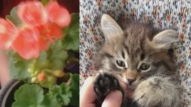 Татьянина радост   А вам  слабо