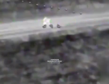 Трёх хряков одной ФПВшкой.