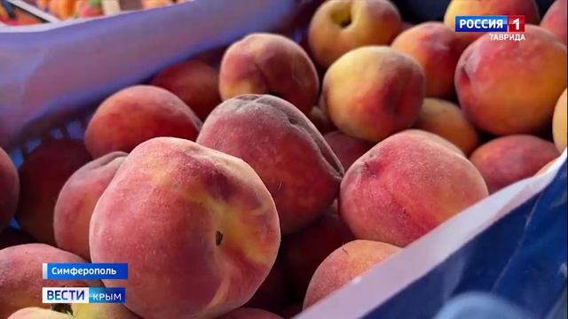 В Крыму из-за заморозков ожидается снижение урожая черешни и орехов на 15 процентов