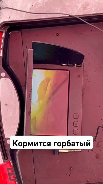 Камера с озона за 2.800 р .глубина 5+м .Косяк леща !!!#рыбалк