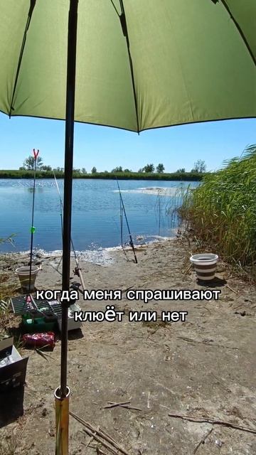Рыбалка на реке #рыбалка  #река #речка #выходные #фидер