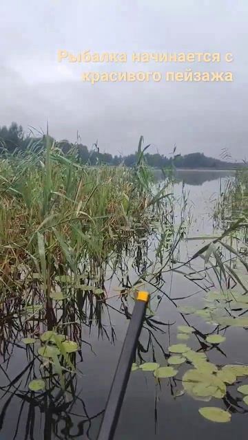 Рыбалка на красивом озере #рыбалка #fishing #влог #fish