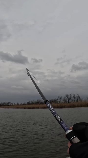 Хорошая щука на слаг Polaris 4’’ #fishing #рыбалка #трофейная?