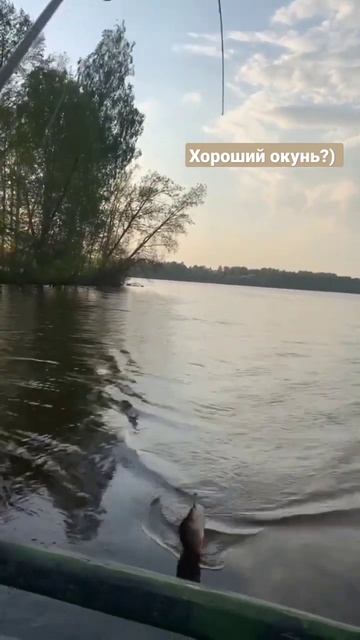 Окунь на джиг! Сколько весил твой трофей?