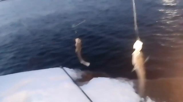 Зимняя рыбалка на открытой воде. Рыбалка 2024