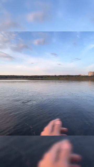 Затупил( #рыбалка #fishing #спиннинг #джиг #jig #судак #spinning