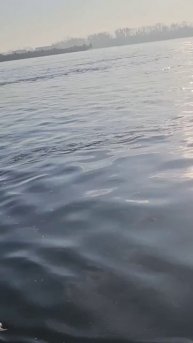 Рыбалка на Енисее.