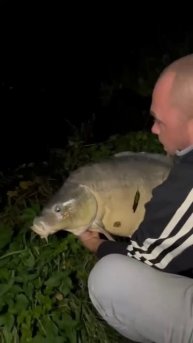 Карп 20,5 кг.Серега отпустил карпа. #бавария #fishing# карп# ?