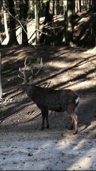 Любуйтесь..Я постою..