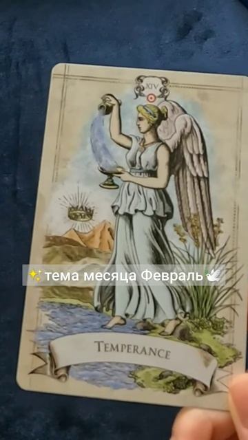 ♉Телец✨тема месяца Февраль🕊️#телецтаро #телецфевр?