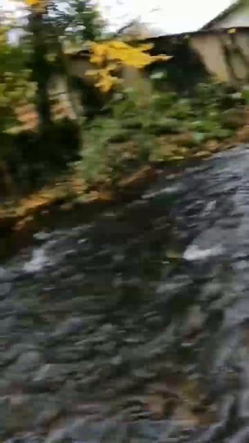 Рыбалка на малых реках Европы! #fishing #рыбалка #shots