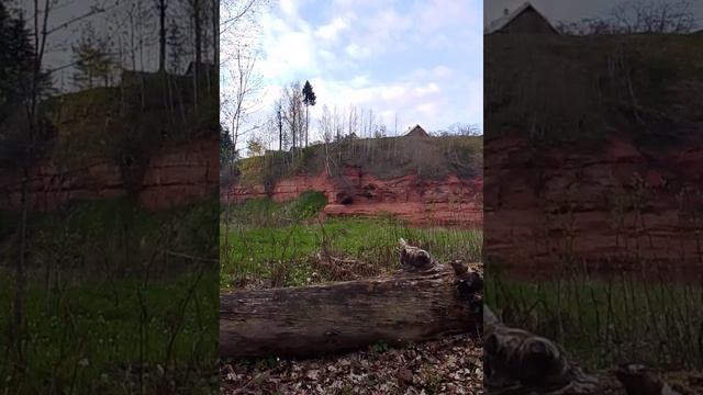 Рассуждения о весне.