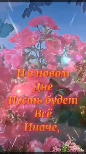 Доброе Утро
