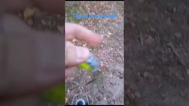охота на щуку #fishing #рыбалка #щуканаспиннинг