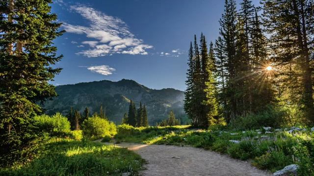 Красивая расслабляющая музыка, Музыка для сна и снятия стресса