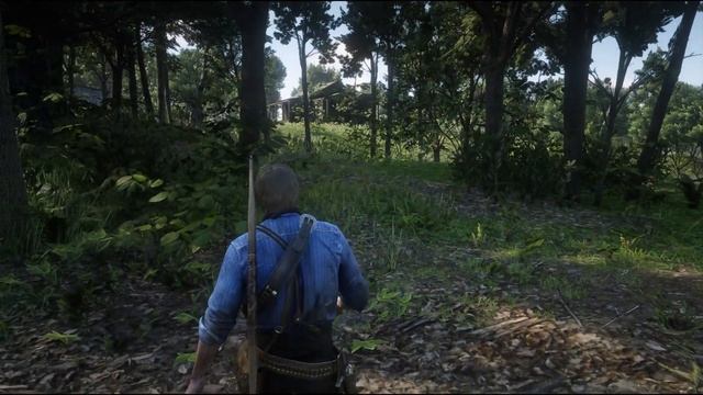 Прохождение Red Dead Redemption 2 №8 - Блаженны ли кроткие - Да прольется нефть