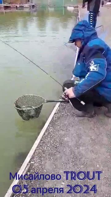 05.04.24 Мисайлово Trout. Уловы наших рыбаков