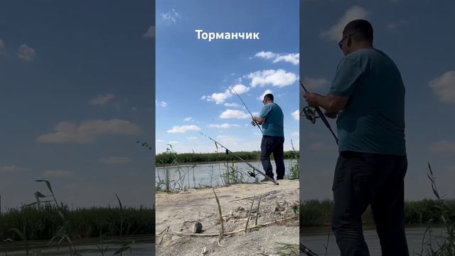 Торманчик на жмых+бойлы (жмых клубника печенье)