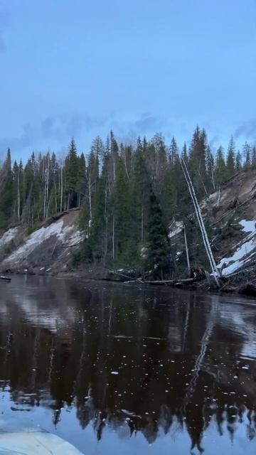 Это надо видеть в живую). Конец мая 2024 год.