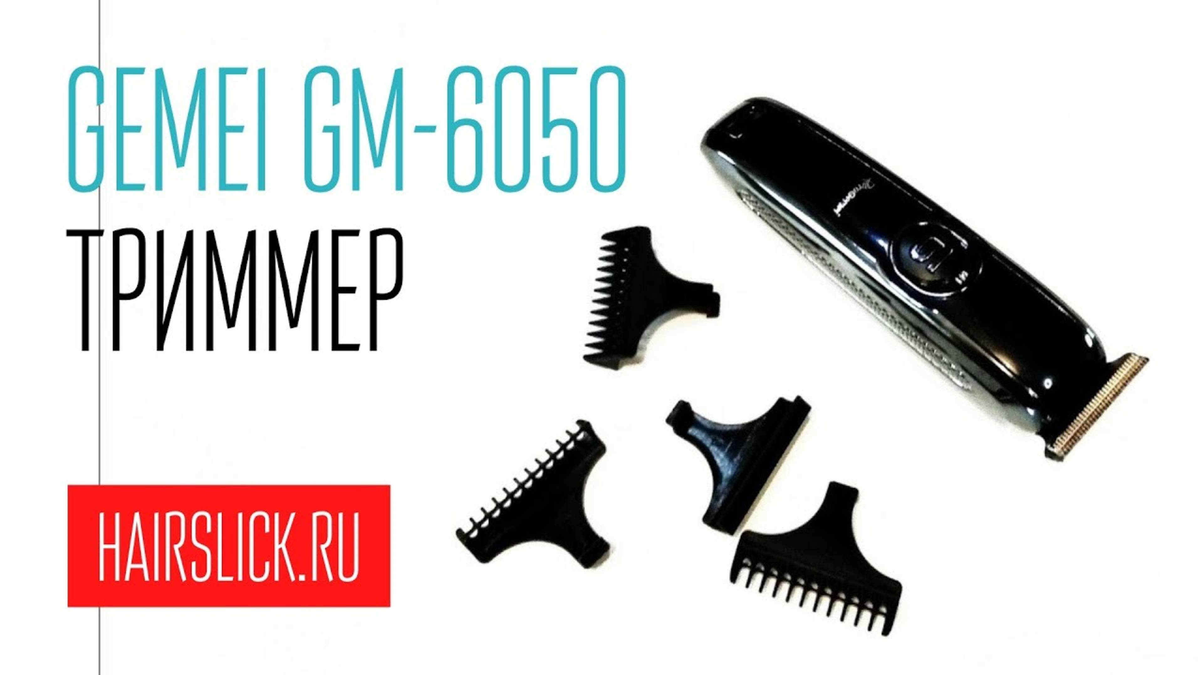 GEMEI-6050