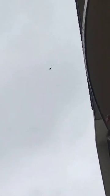 Птицы проводят успешную атаку на дрон Мавик