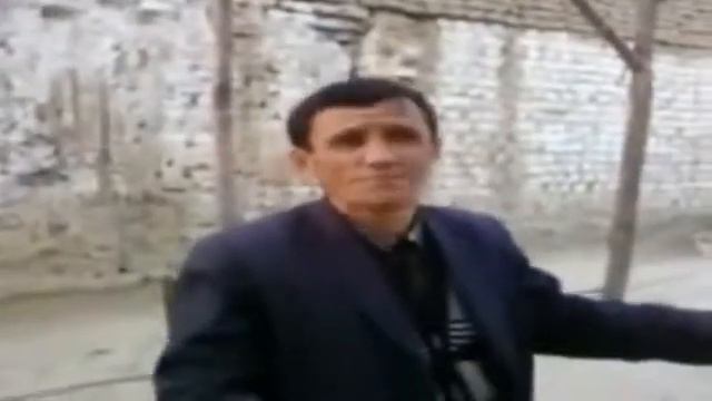 Прикол шеър