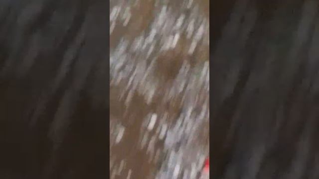 10-05-2025.Град в станице Сторожевой.2.