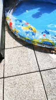 Зачкм порвали бассейн вся вода вылилась чуть не затоп?