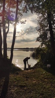 Летний вечер. Рыбалка #guitar #озеро #поставы #fishing #postavy