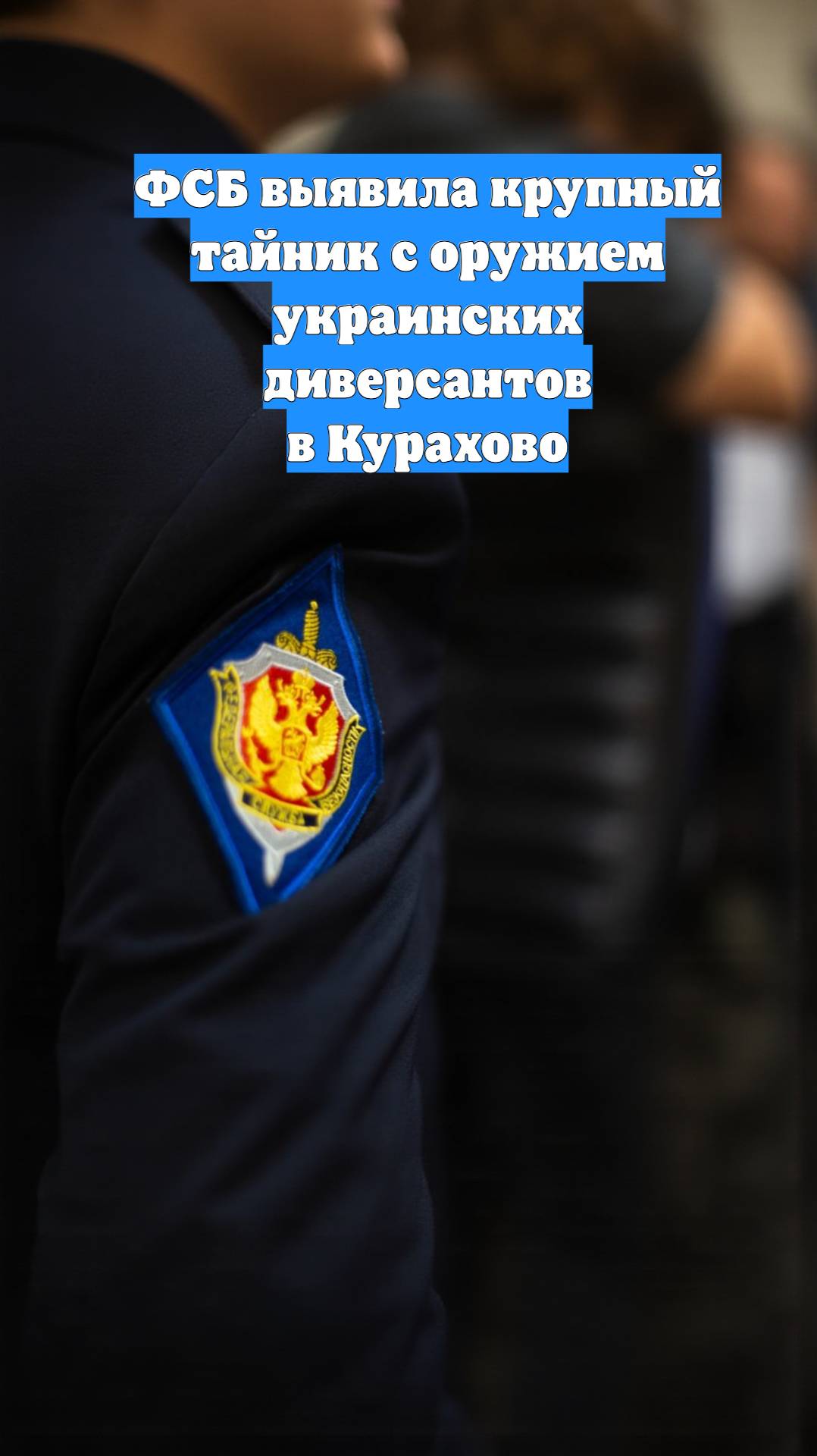 ФСБ выявила крупный тайник с оружием украинских диверсантов в Курахово