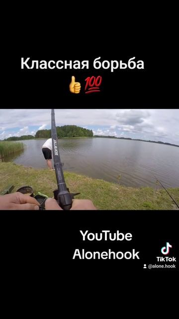 Первый раз в жизни поймал Амура.#рыбалка #литва #лето #а