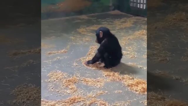 Генеральная уборка 😁
