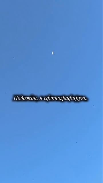 Подожди я сфотографирую 📸
