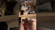 Удобрение для рассады огурчиков и других растений.