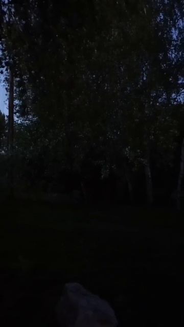 Рязанские соловьи