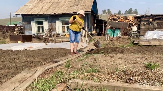 Ртов много,а копать некому.Червей даром отдаю