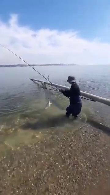🔥 ПОЙМАЛ ТРОФЕЙНОГО САЗАНА В ТАДЖИКИСТАНЕ! 🎣🐟 #рыба