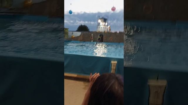 дельфинарий 🐬🐬 в городе Ейск)