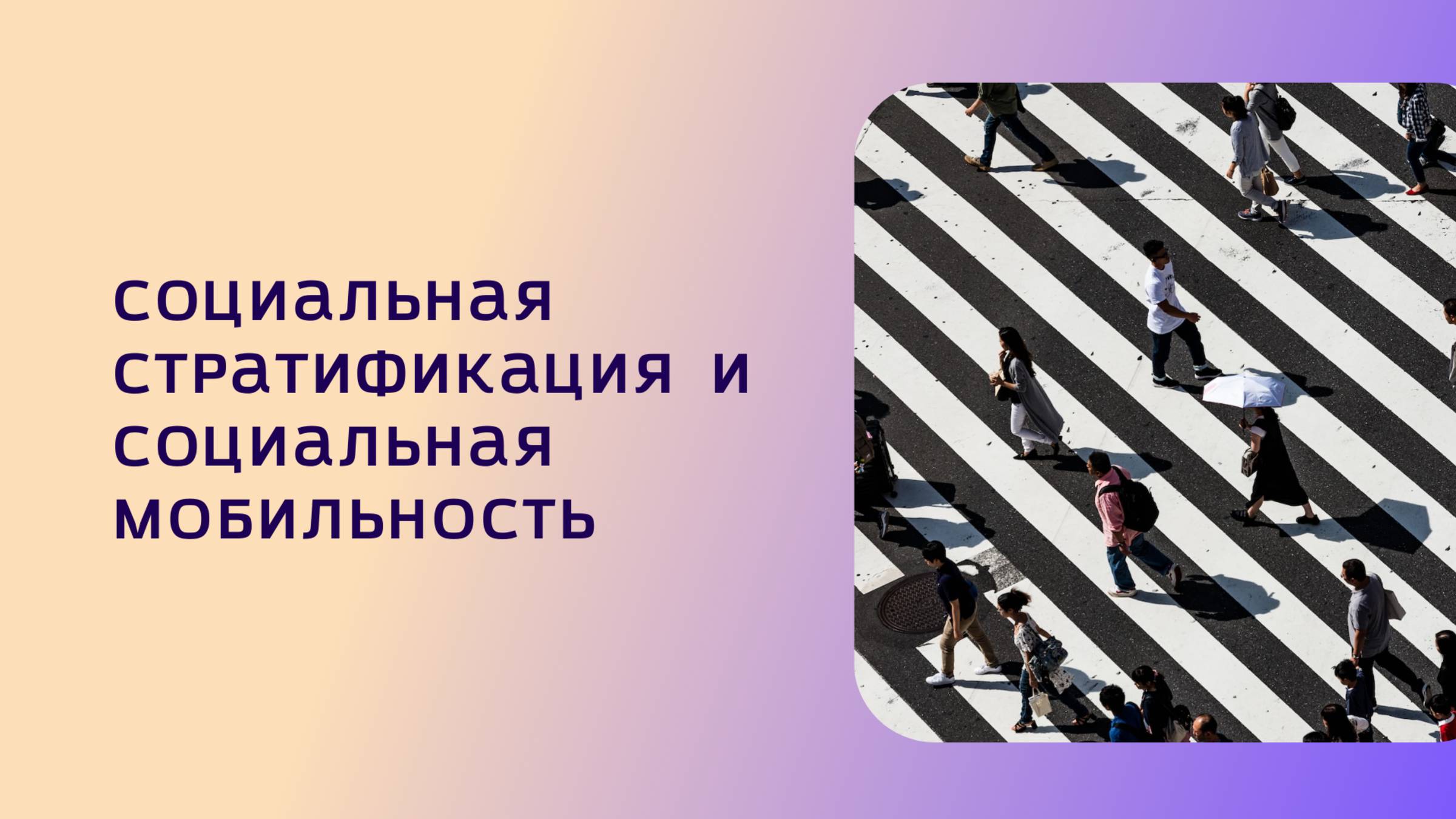 Социальная стратификация и мобильность || ЕГЭ по обществознанию