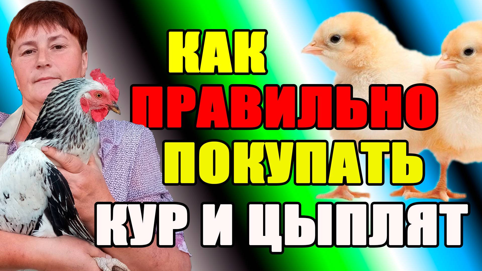 Как ПРАВИЛЬНО покупать кур и цыплят.