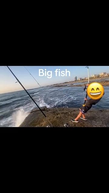 Большая рыба #fishing #fish #рыбалка