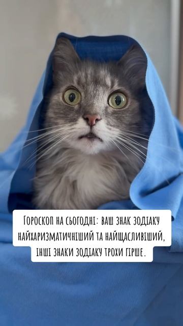 Гороскоп #гороскопнакожендень #знакизодіаку #терези #?