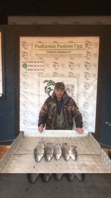 уловы рыбаков в Рыбин Гуде